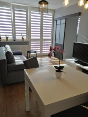 Apartament w Centrum, Szczecin